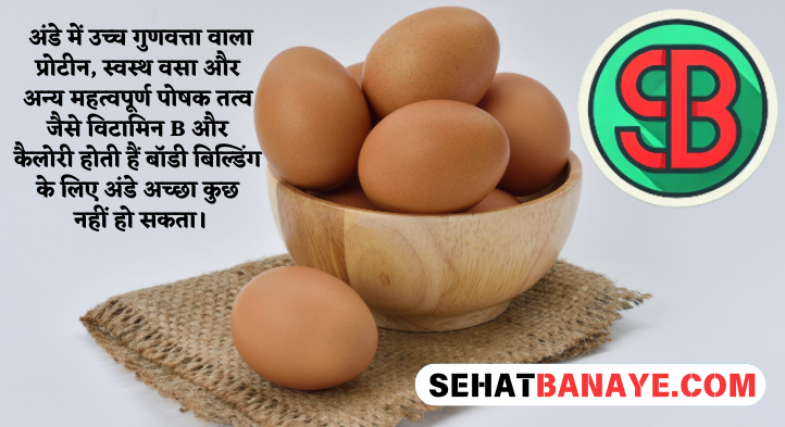 Body Banane Ke Liye Kya Khaye Eggs - Body Kaise Banti Hai